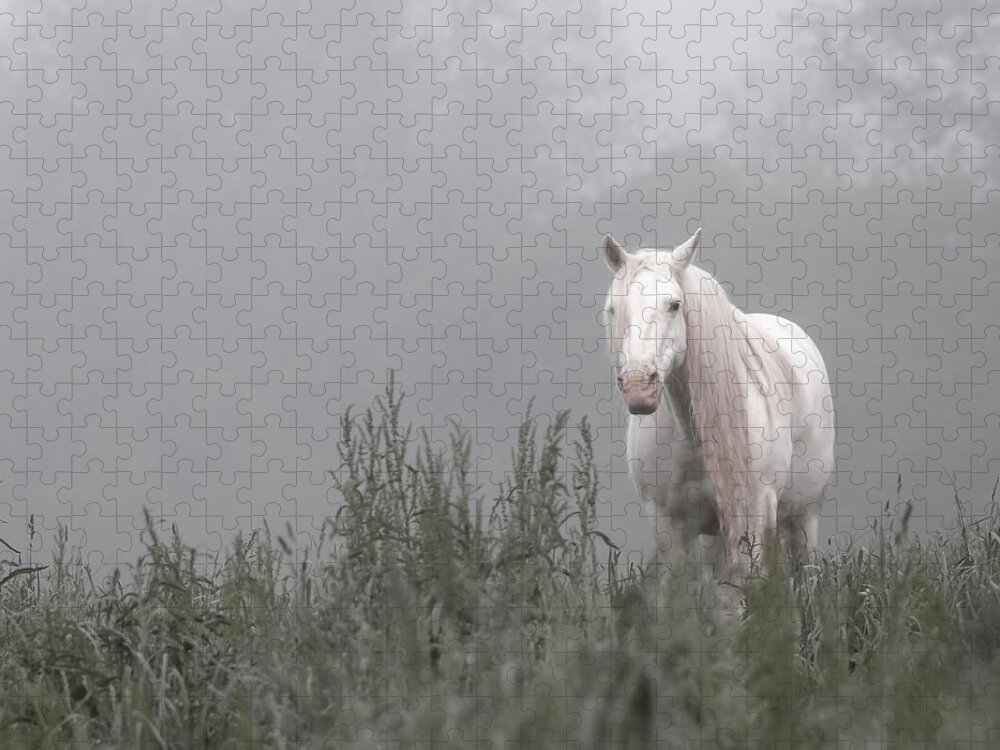 Missouri Jigsaw Puzzle featuring the photograph Missing Shawnee by Holly Ross