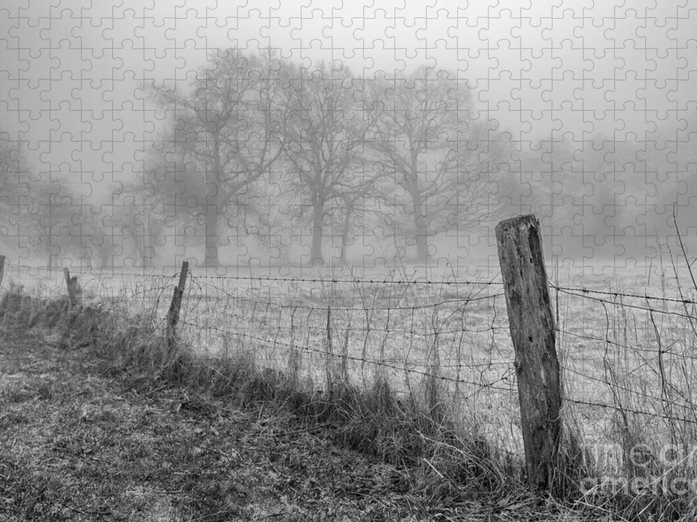 Misty Jigsaw Puzzle featuring the photograph Misty Morning in Europe by Daniel M Walsh