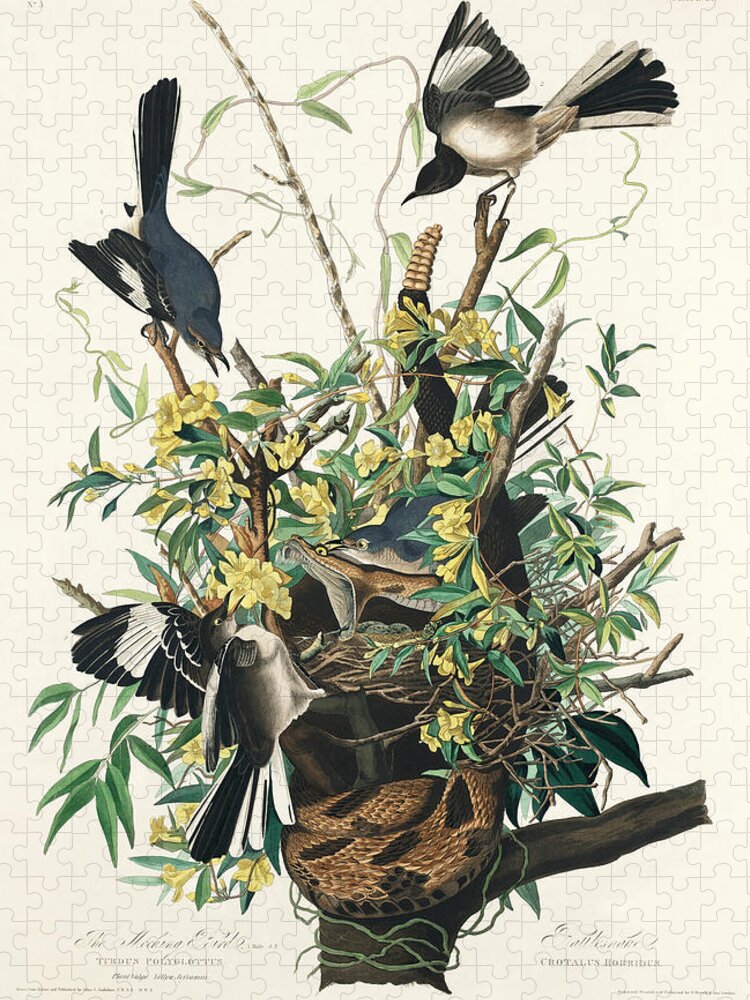 Mockingbird Jigsaw Puzzle featuring the mixed media Mockingbird. John James Audubon by World Art Collective