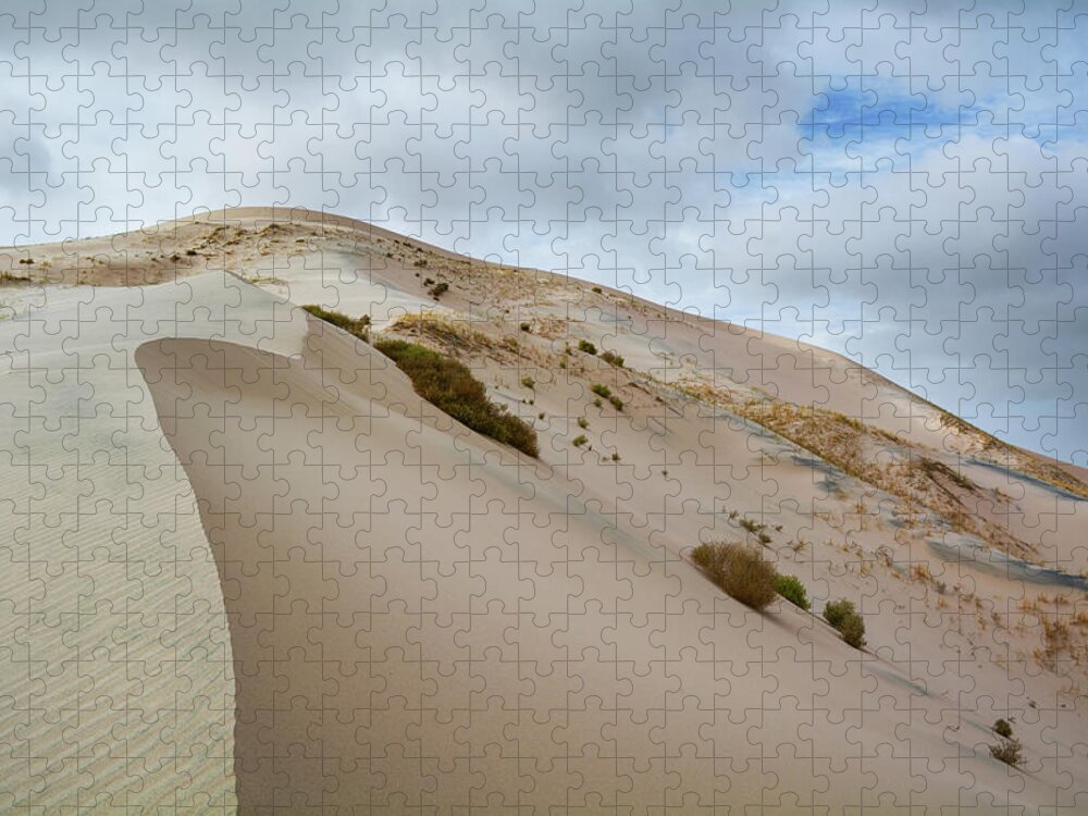 Mojave Desert Jigsaw Puzzle featuring the photograph Mojave Desert Kelso Sand Dunes by Kyle Hanson