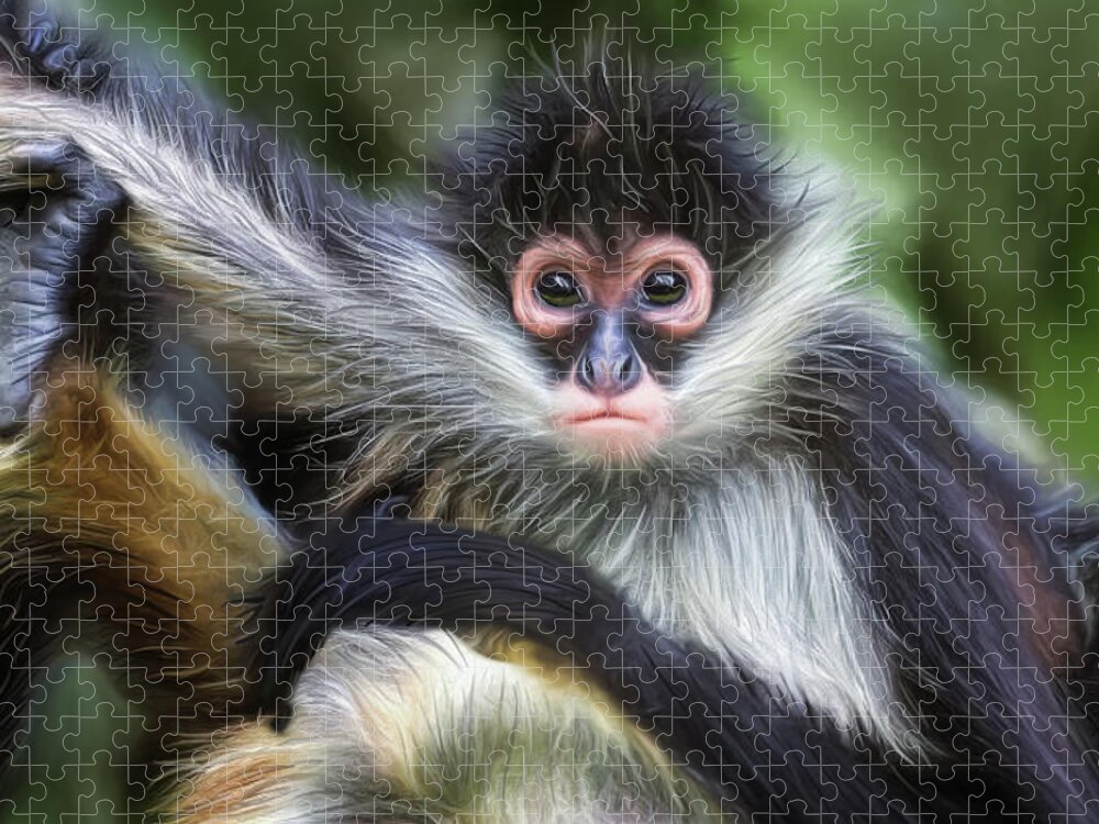 Spider Jigsaw Puzzle featuring the digital art Monkey Stache by Brad Barton