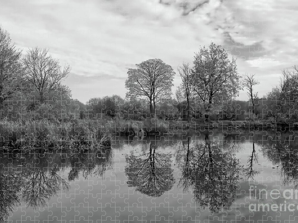 Lake Jigsaw Puzzle featuring the photograph Monochrome lake in Alkington Woods, UK by Pics By Tony