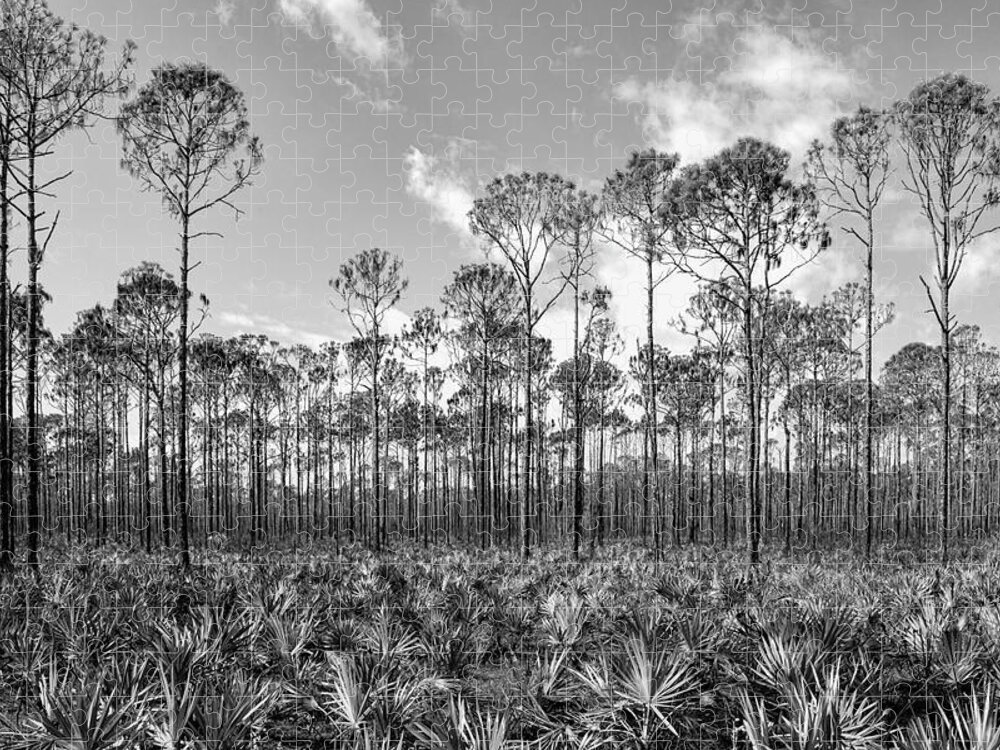 Forest Jigsaw Puzzle featuring the photograph Monochrome Myakka State Forest by Robert Wilder Jr