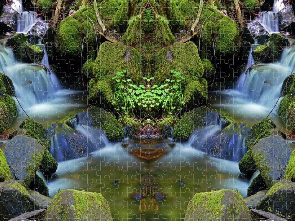 Nature Jigsaw Puzzle featuring the photograph Moon Falls Mirror #1 by Ben Upham III