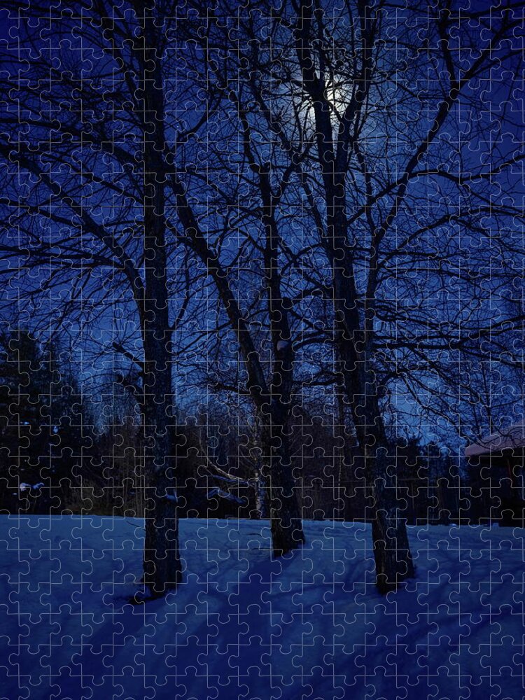 Finland Jigsaw Puzzle featuring the photograph Moonlight shadows by Jouko Lehto
