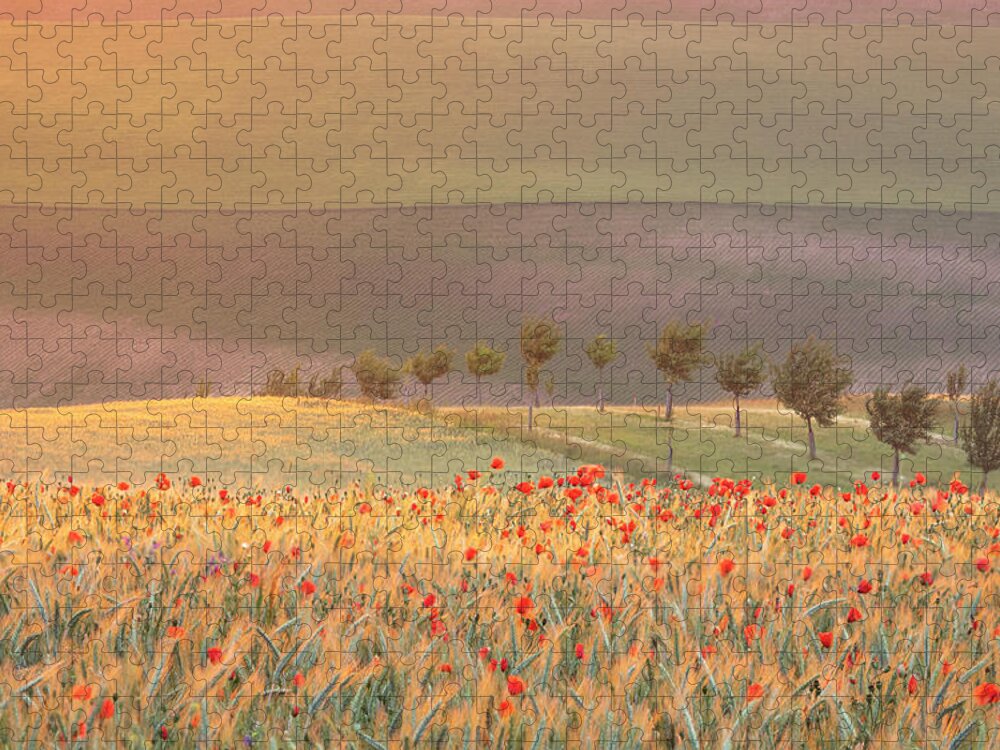 Europe Czech Republic Moravia Fields Rolling Fields Spring Sunrise Poppies Crops Rye Sunlight Impression Trees Jigsaw Puzzle featuring the photograph Moravian impression by Piotr Skrzypiec