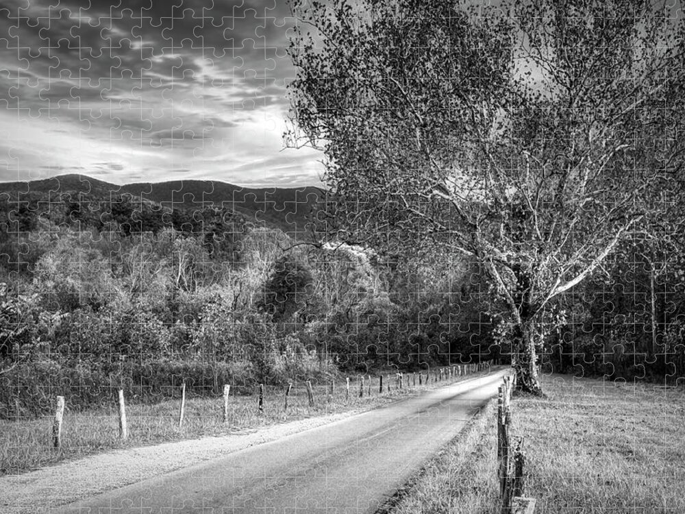 Cades Jigsaw Puzzle featuring the photograph Morning Along Sparks Lane at Cades Cove Black and White by Debra and Dave Vanderlaan