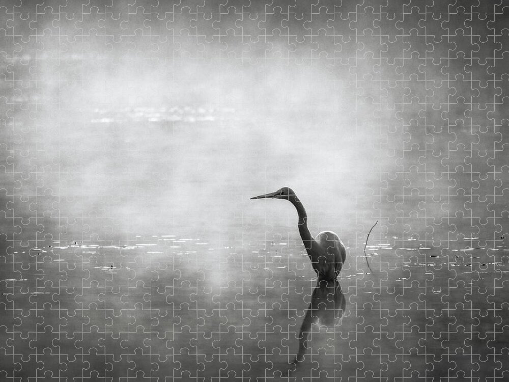 Monochrome Jigsaw Puzzle featuring the photograph Morning Hunt by Grant Galbraith