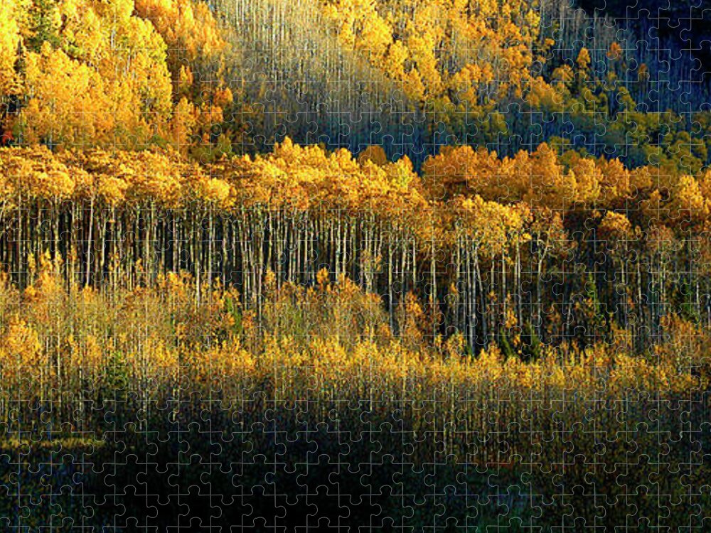 Aspen Jigsaw Puzzle featuring the photograph Morning Kiss by Jill Westbrook