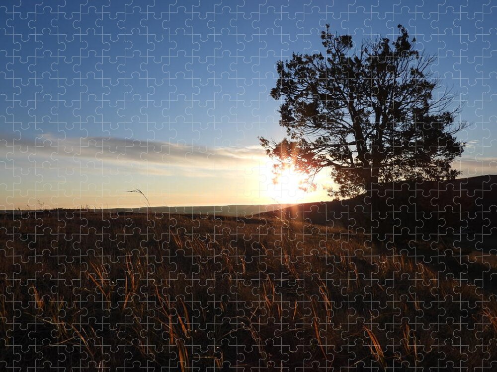 Sunrise Jigsaw Puzzle featuring the photograph Morning Light by Amanda R Wright
