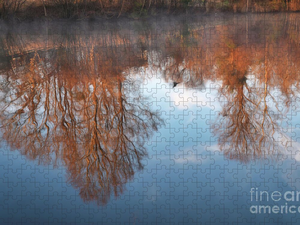 Birkdale Village Pond Jigsaw Puzzle featuring the photograph Morning Mist by Amy Dundon