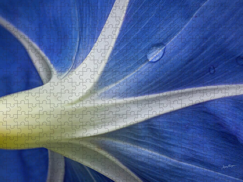 Morning Glory Jigsaw Puzzle featuring the photograph Morning Star by Jurgen Lorenzen