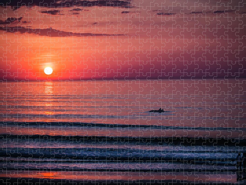 Ocean Jigsaw Puzzle featuring the photograph Morning Swim by Skip Tribby
