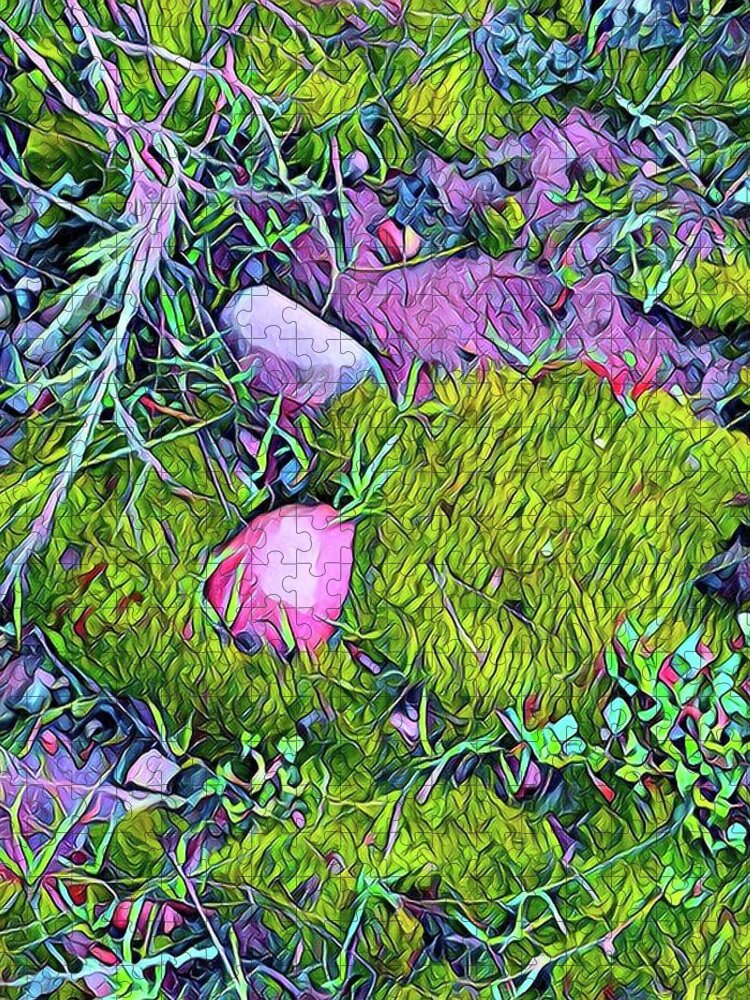 Moss Jigsaw Puzzle featuring the photograph Moss and Rocks by Dorrene BrownButterfield