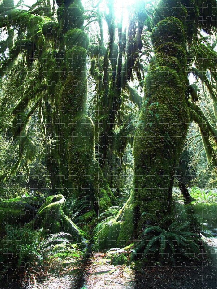 Nature Jigsaw Puzzle featuring the photograph Moss Heaven by Rachel Jitabebe