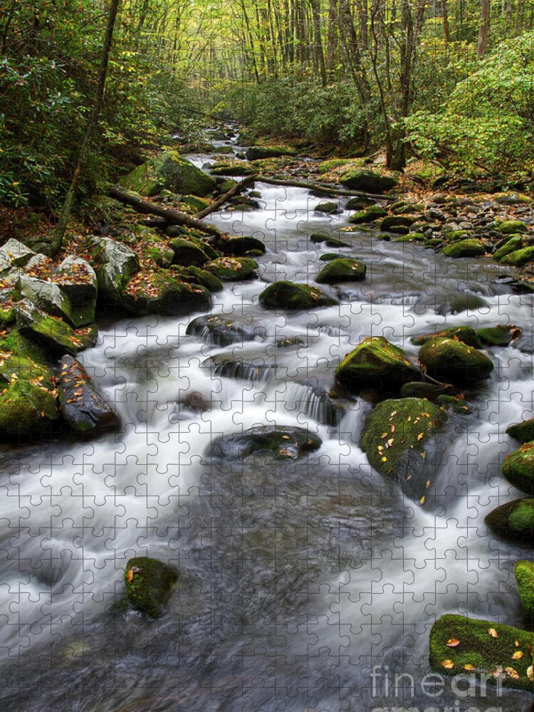 Tennessee Jigsaw Puzzle featuring the photograph Moss On Middle Prong 1 by Phil Perkins