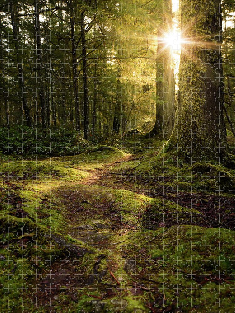 Landscape Jigsaw Puzzle featuring the photograph Mossy Forest Path by Naomi Maya