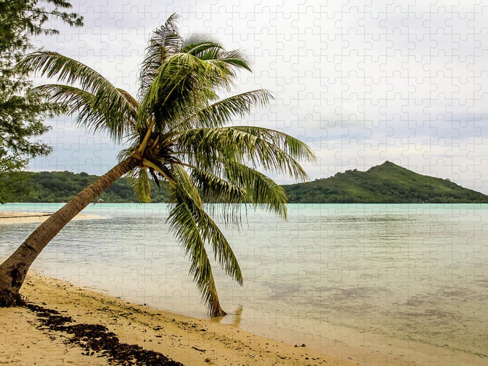 Palm Jigsaw Puzzle featuring the photograph Motu Palm by Craig A Walker