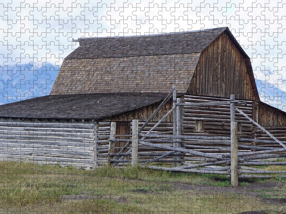 Moulton Barn Jigsaw Puzzle featuring the photograph Moulton Barn on Mormon Row 1223 by Cathy Anderson