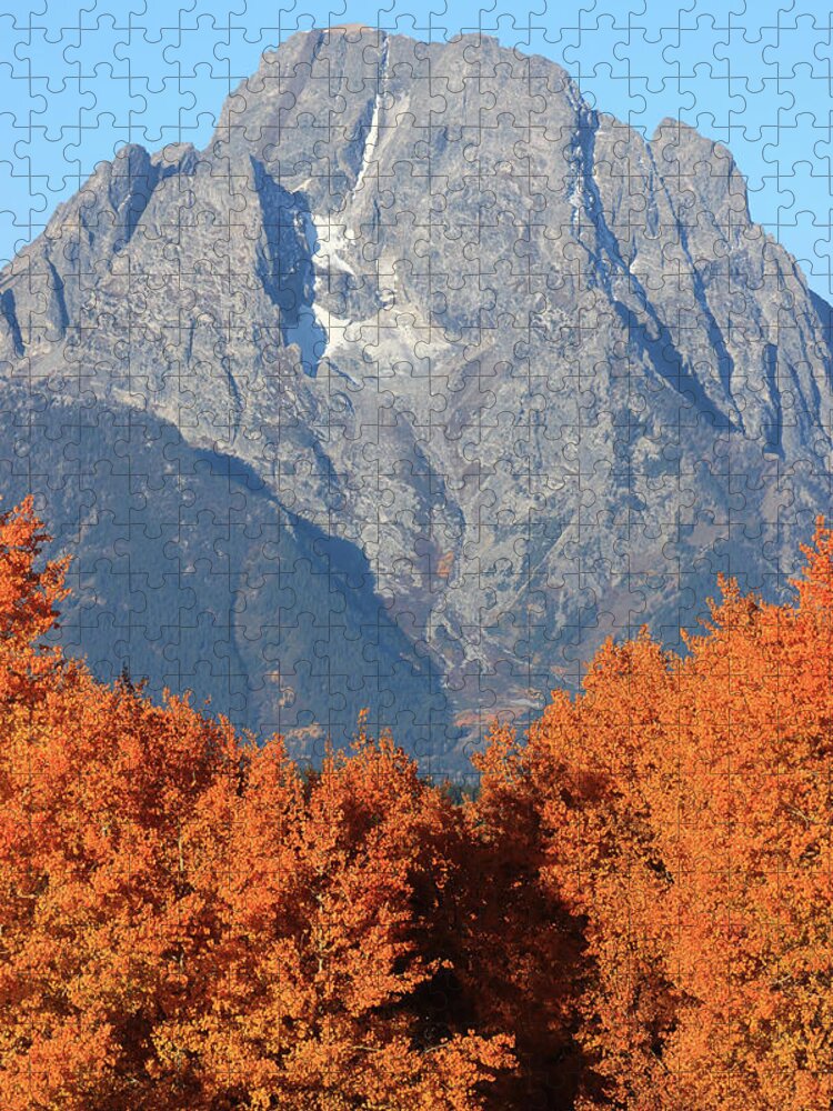 Mount Moran In Autumn Jigsaw Puzzle featuring the photograph Mount Moran Fall Colors by Dan Sproul