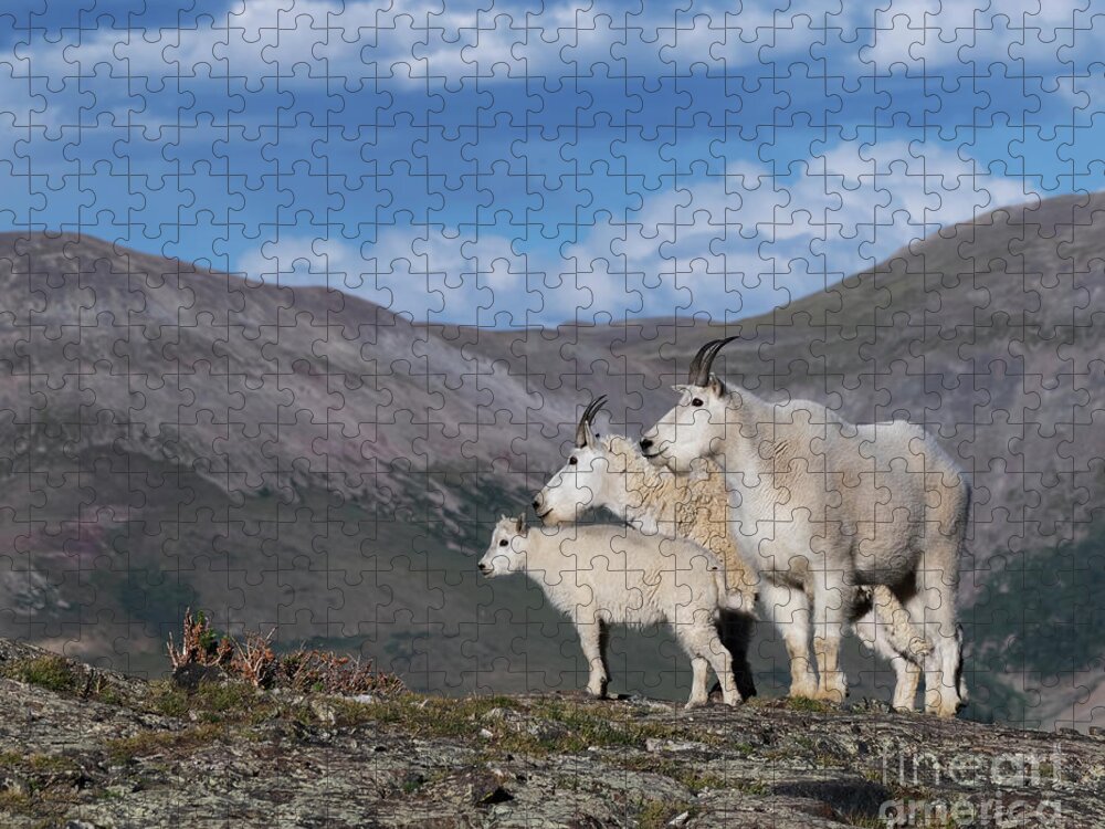 Mountain Jigsaw Puzzle featuring the photograph Mountain Family by Patrick Nowotny