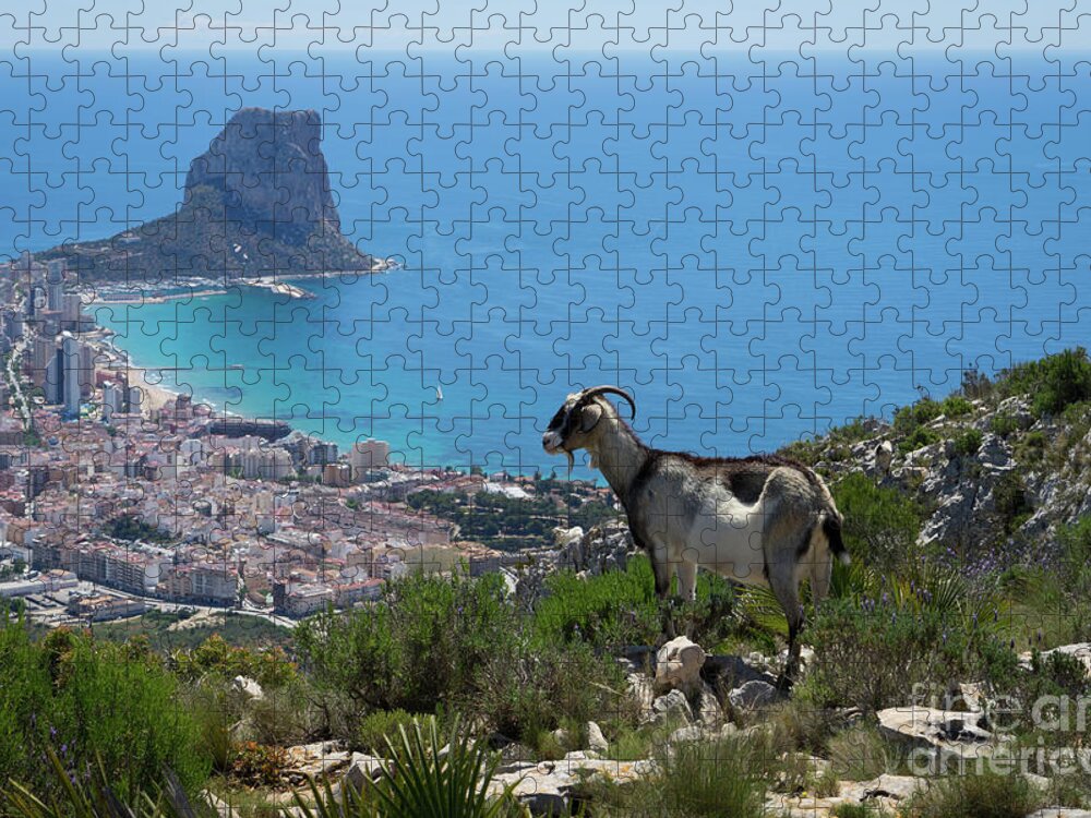 Mountains Jigsaw Puzzle featuring the photograph Mountain goat looks at Calpe and the Mediterranean Sea by Adriana Mueller