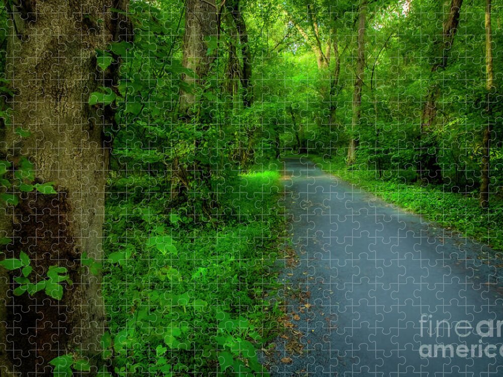 Trail Jigsaw Puzzle featuring the photograph Mountain River Trail by Shelia Hunt