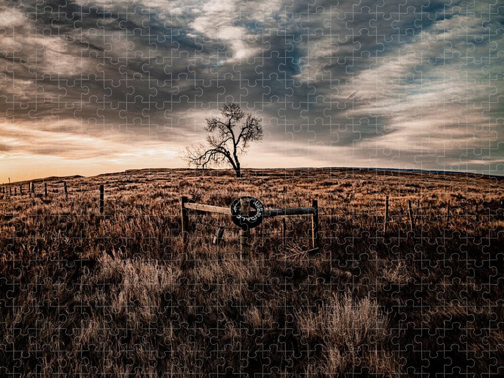Prairie Jigsaw Puzzle featuring the photograph Murray Tree by Darcy Dietrich
