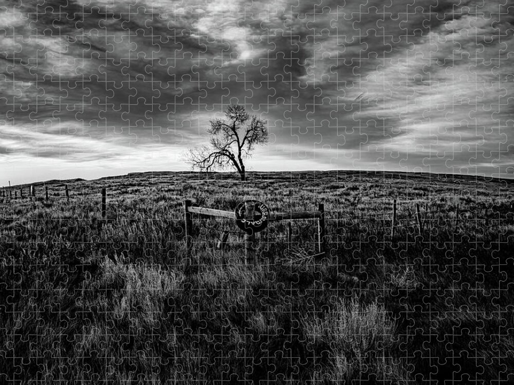  Jigsaw Puzzle featuring the photograph Murray Tree Monochrome by Darcy Dietrich