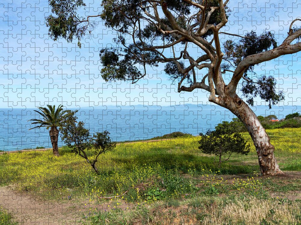 Bluff Cove Jigsaw Puzzle featuring the photograph Mustard plant above Bluff Cove by Mike-Hope by Mike-Hope