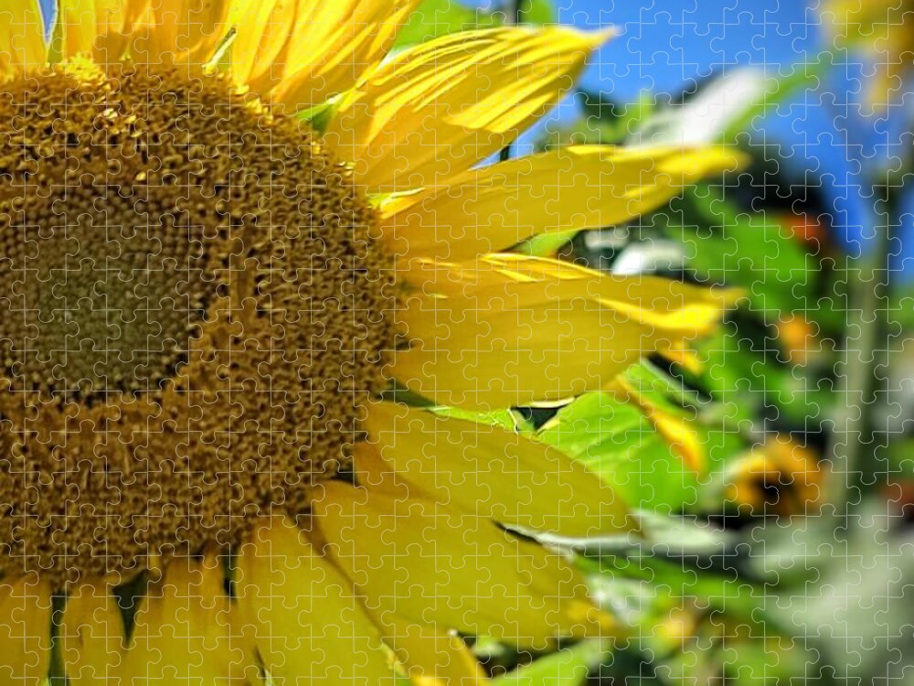 Sunflower Jigsaw Puzzle featuring the photograph My Good Side by Terry Ann Morris