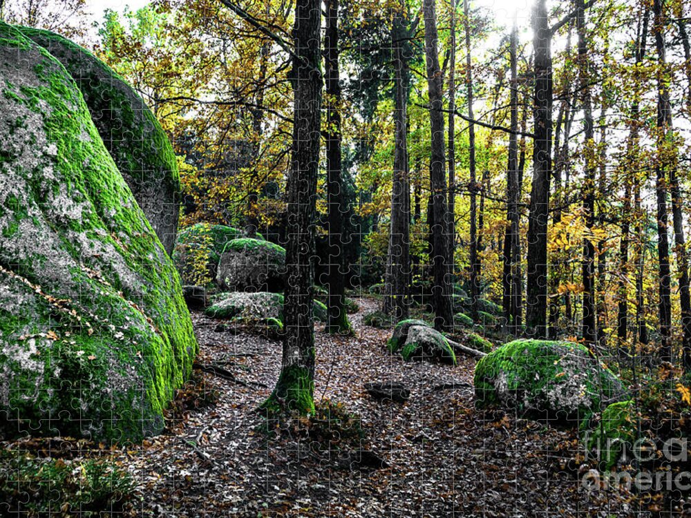 Abandoned Jigsaw Puzzle featuring the photograph Mystic Landscape Of Nature Park Blockheide With Granite Rock Formations In Waldviertel In Austria by Andreas Berthold