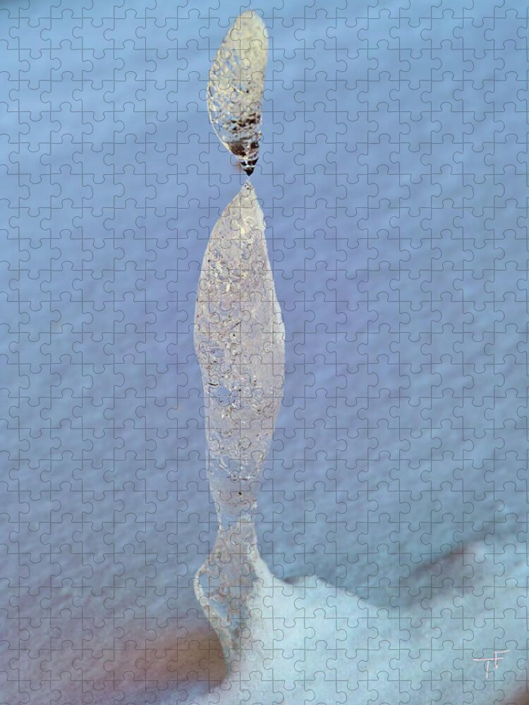 Ice Jigsaw Puzzle featuring the photograph Natural Ice Sculpture by Theresa Fairchild