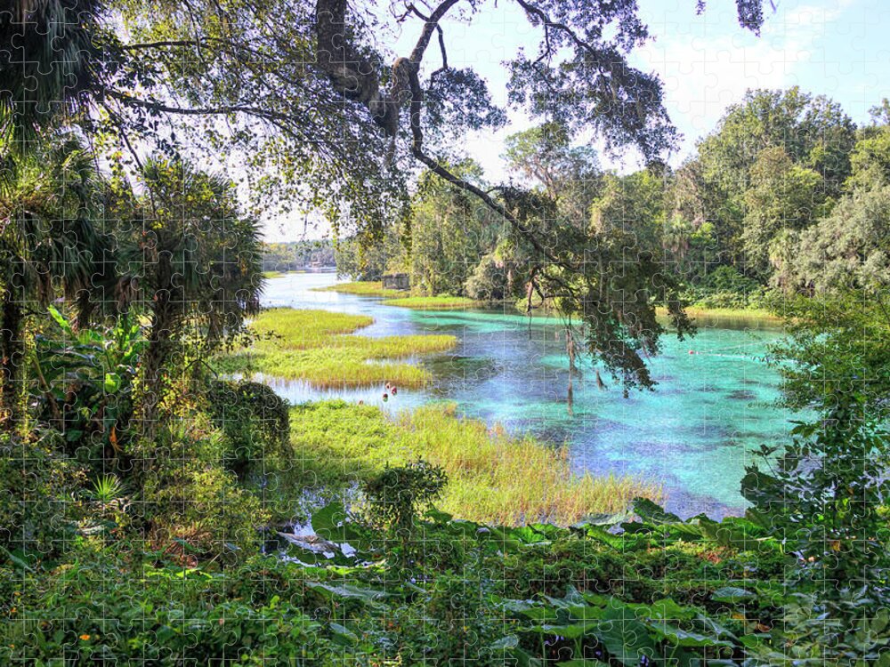 Florida Jigsaw Puzzle featuring the photograph Natural Springs by Alison Belsan Horton