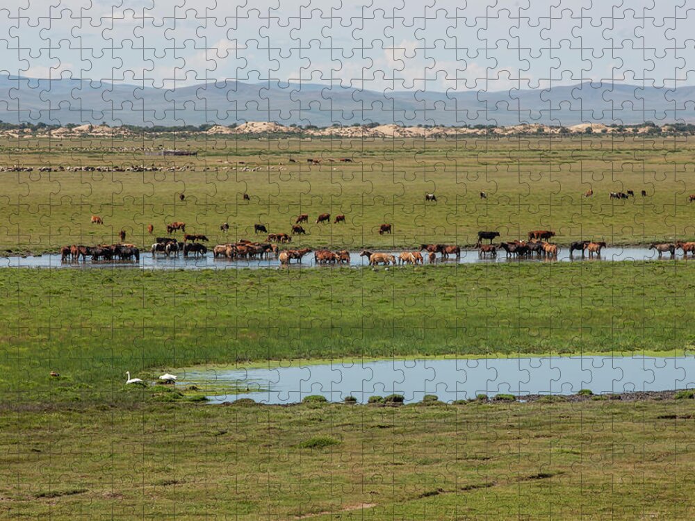 Herders Lifestyle Jigsaw Puzzle featuring the photograph Nature Mongolia by Bat-Erdene Baasansuren