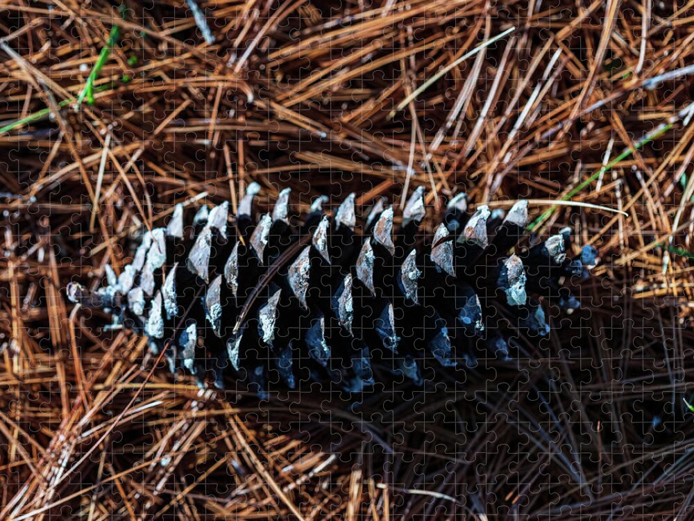 Nature Jigsaw Puzzle featuring the photograph Nature Photography - Pine Cone 2 by Amelia Pearn