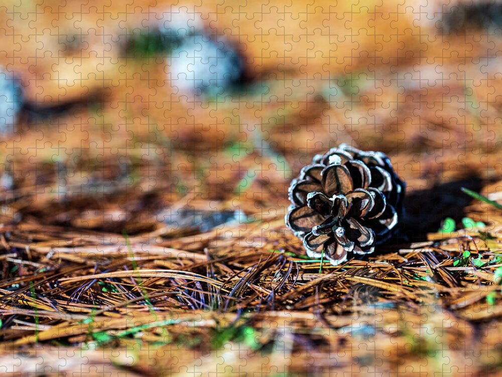 Nature Jigsaw Puzzle featuring the photograph Nature Photography - Pine Cone by Amelia Pearn