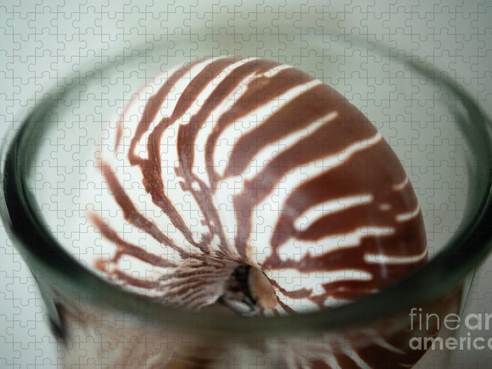 Nautilus Jigsaw Puzzle featuring the photograph Nautilus by Manuela's Camera Obscura