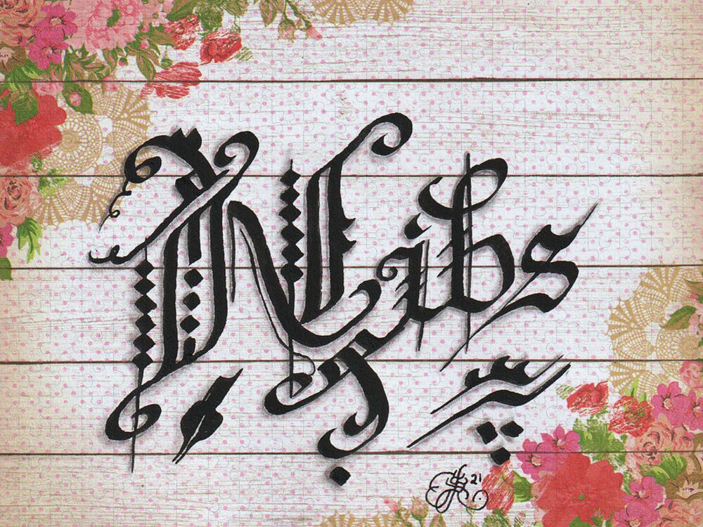 Calligraphy Jigsaw Puzzle featuring the drawing Nibs by Scarlett Royale