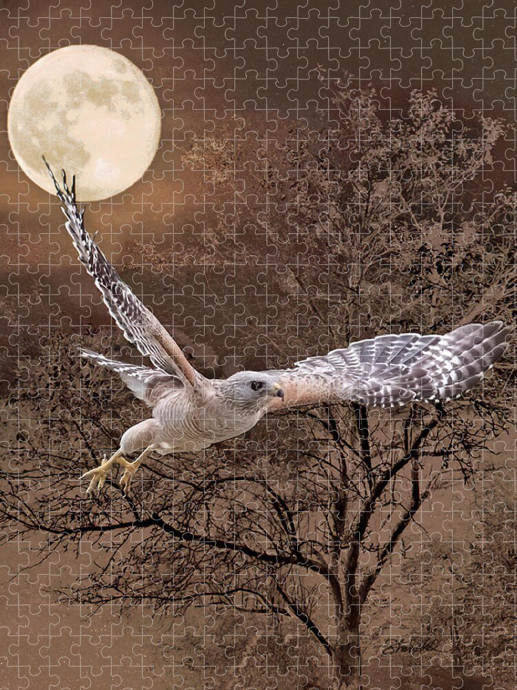 Bird Jigsaw Puzzle featuring the photograph Night Hawk #1 by Shara Abel
