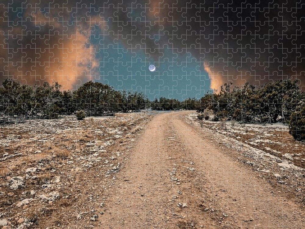 Roads Jigsaw Puzzle featuring the photograph Night Moves by Brad Hodges