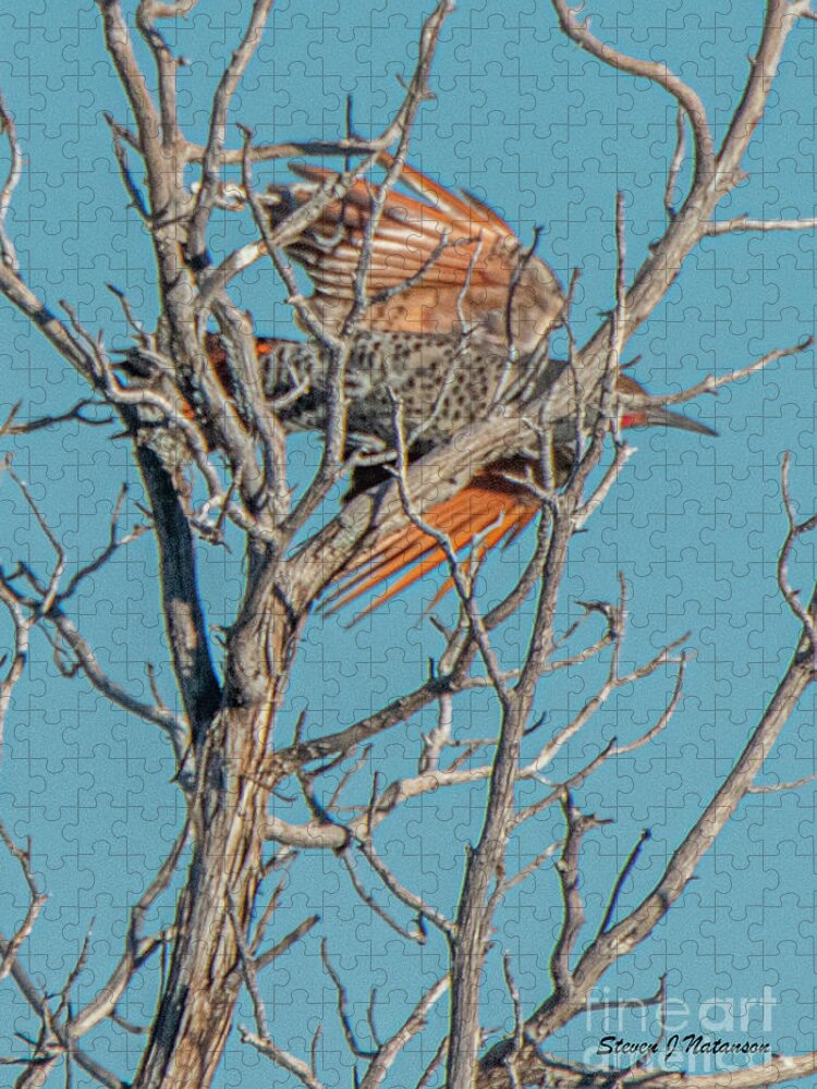 Natanson Jigsaw Puzzle featuring the photograph Northern Flicker Flyby by Steven Natanson