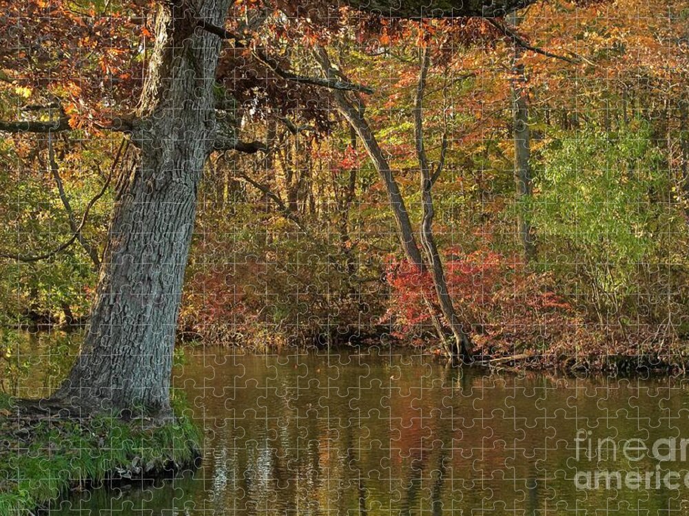 Oak Jigsaw Puzzle featuring the photograph Oak Tree on the Edge and Stream by Randy Pollard