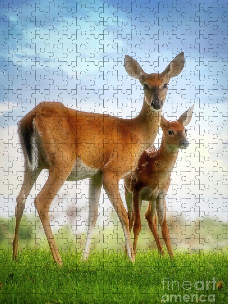 Deer Jigsaw Puzzle featuring the photograph Oh, Deer, Let's Pose... by Shelia Hunt