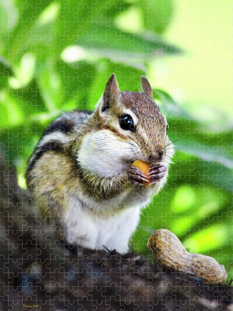 Chipmunk Jigsaw Puzzle featuring the photograph Oh Nuts by Christina Rollo