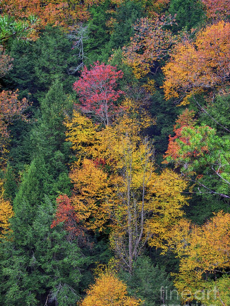 Autumn Jigsaw Puzzle featuring the photograph Ohio Autumn by Karen Adams