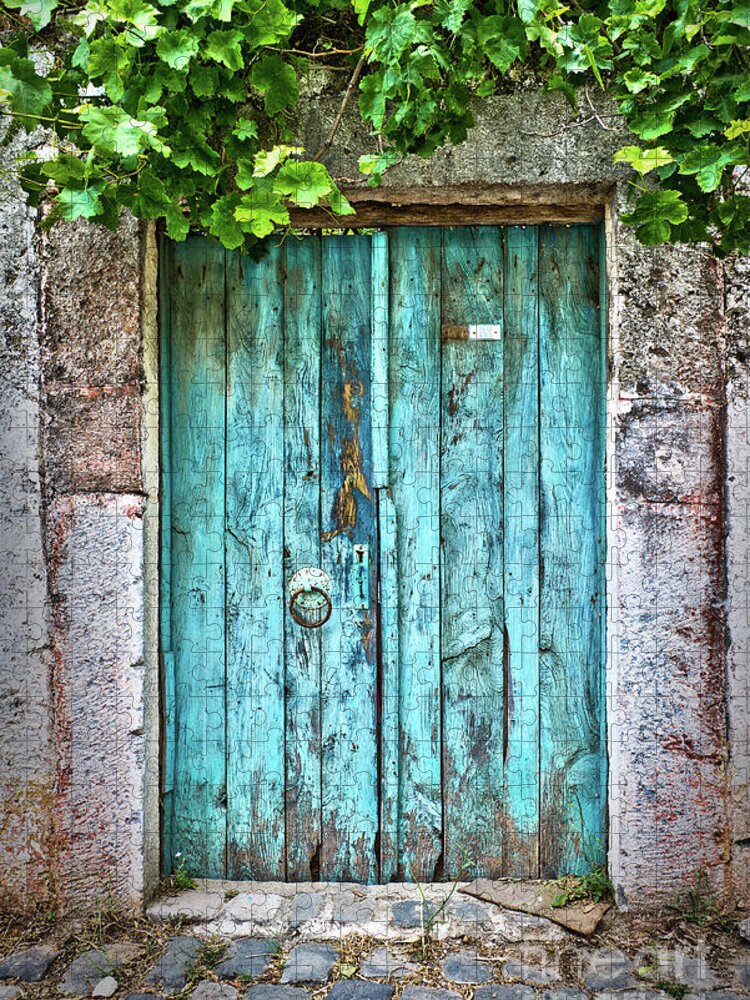 Blue Jigsaw Puzzle featuring the photograph Old blue door with vine by Delphimages Photo Creations