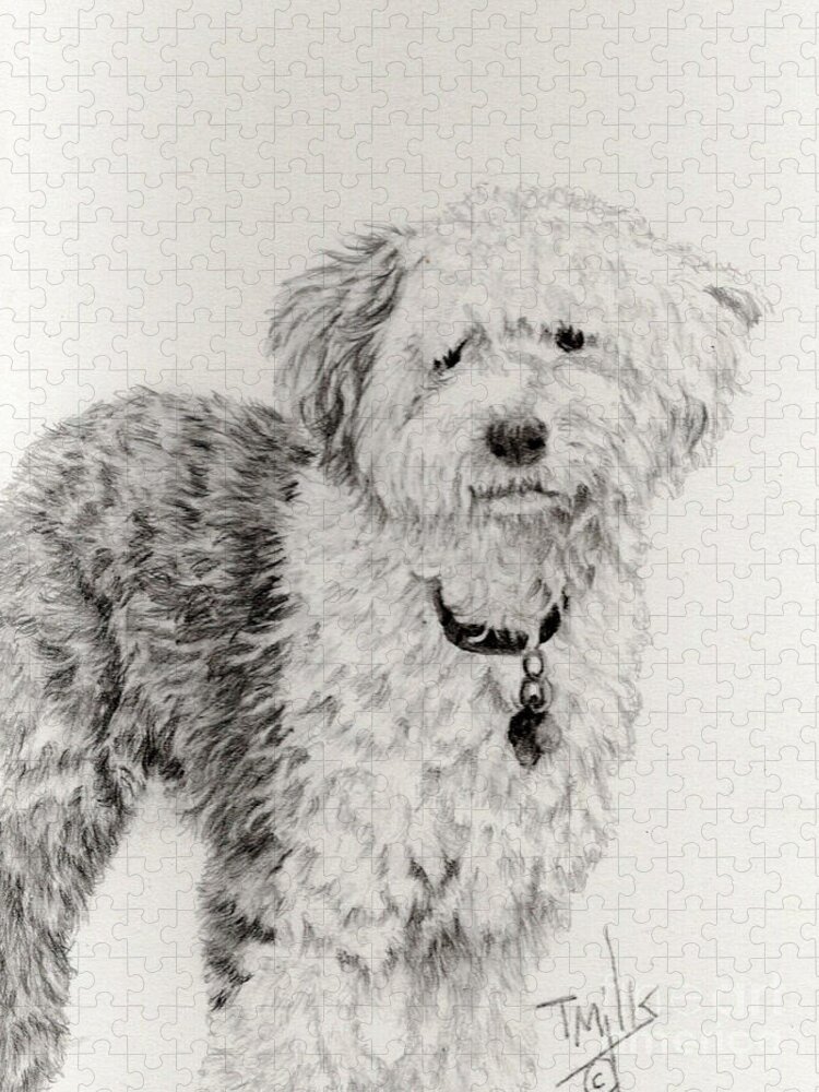 Dog Jigsaw Puzzle featuring the drawing Old English Sheepdog 1 by Terri Mills