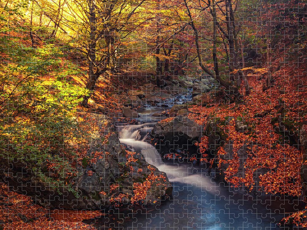 Mountain Jigsaw Puzzle featuring the photograph Old River by Evgeni Dinev