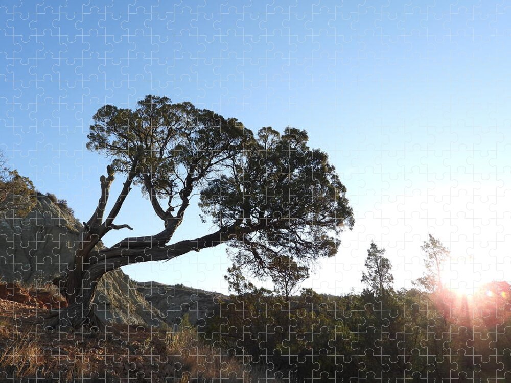 Juniper Jigsaw Puzzle featuring the photograph Old Twisted Juniper 1 by Amanda R Wright